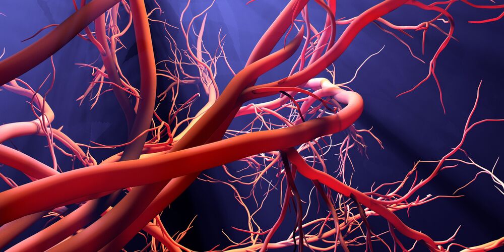 Blood Oxygen vs Muscle Oxygen for Training: What is the Difference?