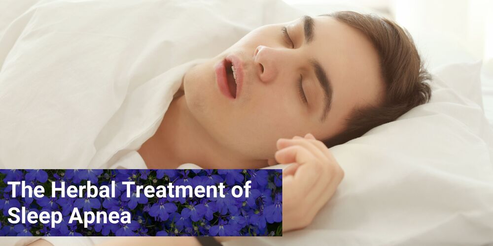 The Herbal Treatment of Sleep Apnea