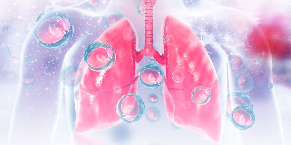 Construyendo y reconstruyendo los pulmones