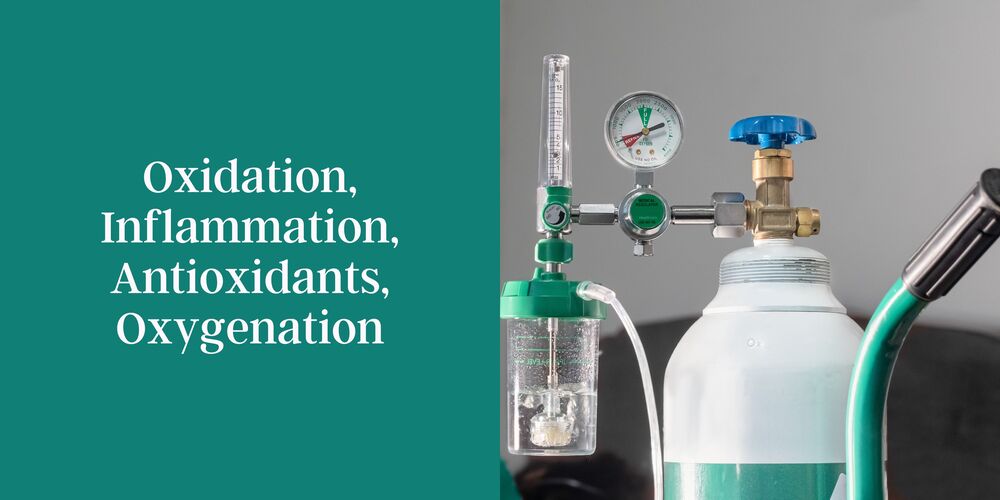 explore how oxidation, inflammation, antioxidants, and oxygenation intricately influence respiratory health and balance