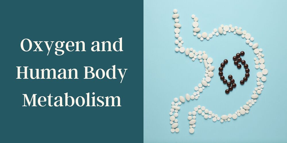 Learn about Oxygen and human body metabolism