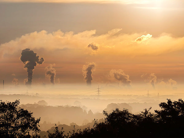Air Pollution: More Than 80 Percent of Urban Areas Are Exposed To Unsafe Levels