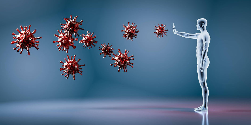 Boost Your Immunity Naturally
