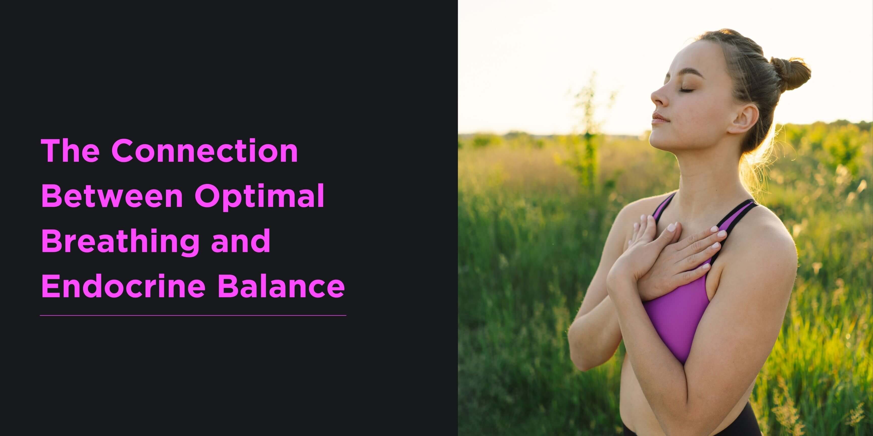 The Connection Between Optimal Breathing and Endocrine Balance