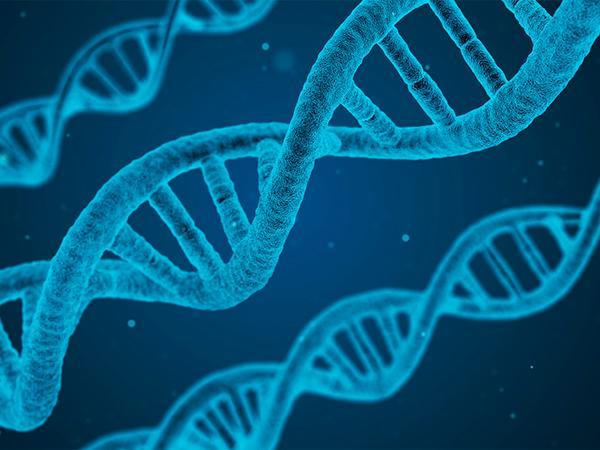 Genetics: Think Epigenetics or Ways To Turn On and Off Specific Genes