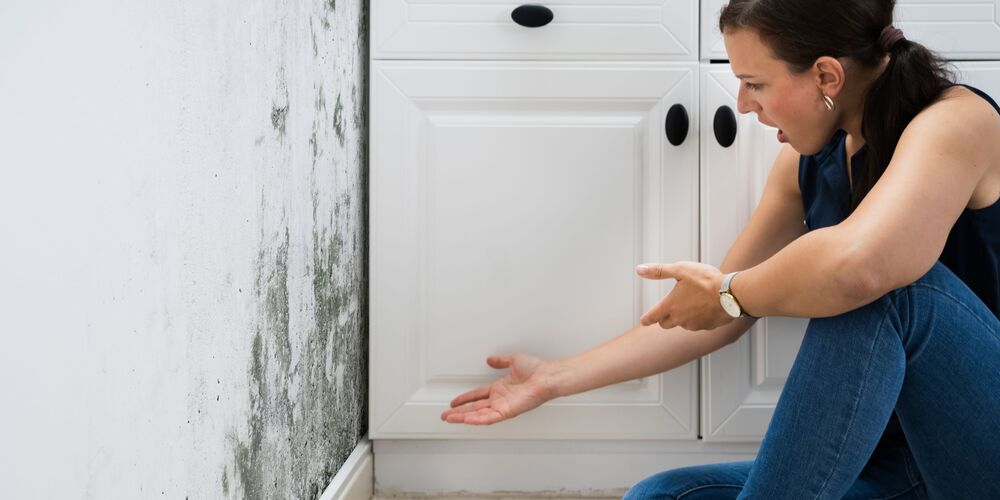 Mold Could Be In Your Home Right Now. Are You At Risk?
