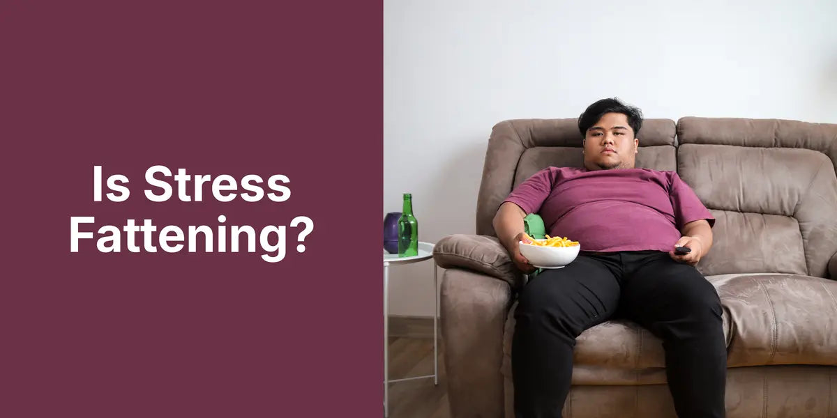Read to find out how stress causes obesity