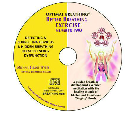 Detecting & Correcting Obvious & Hidden Breathing Related Energy Dysfunction (Download) - Breathing.com